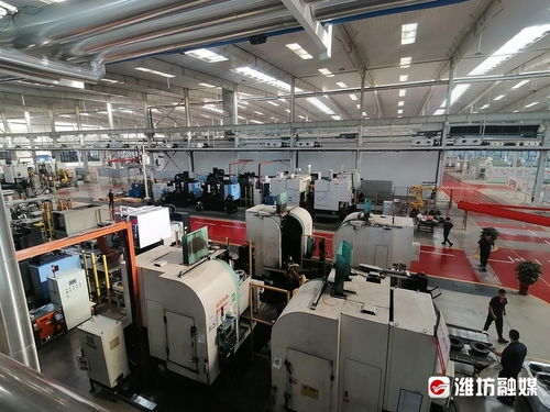 链长赋能，链主领航 昌邑市以锂电池产业为引擎推动经济高质量发展